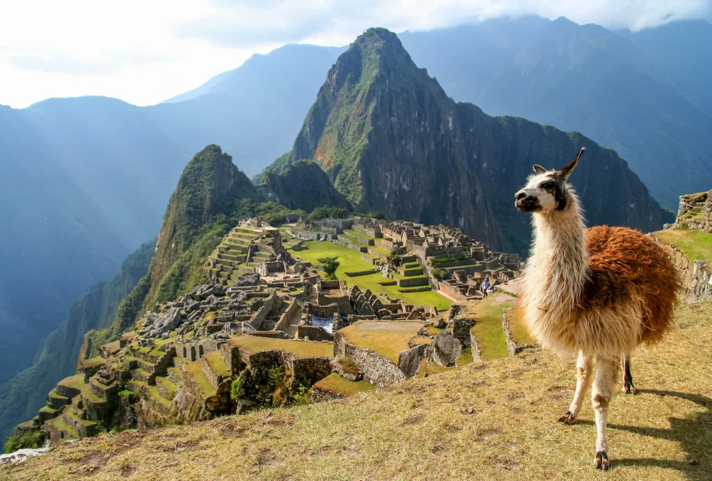 Machu Picchu La Maravilla Perdida de los Incas