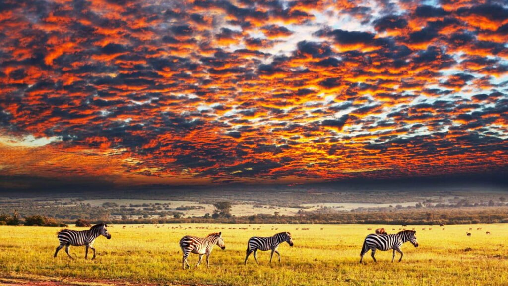 Parque Nacional Serengueti en Tanzania